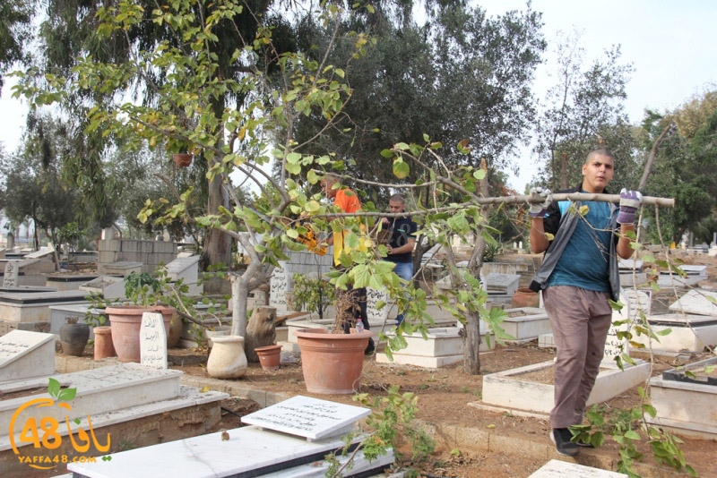 tasoooi3i1412 (22).JPG